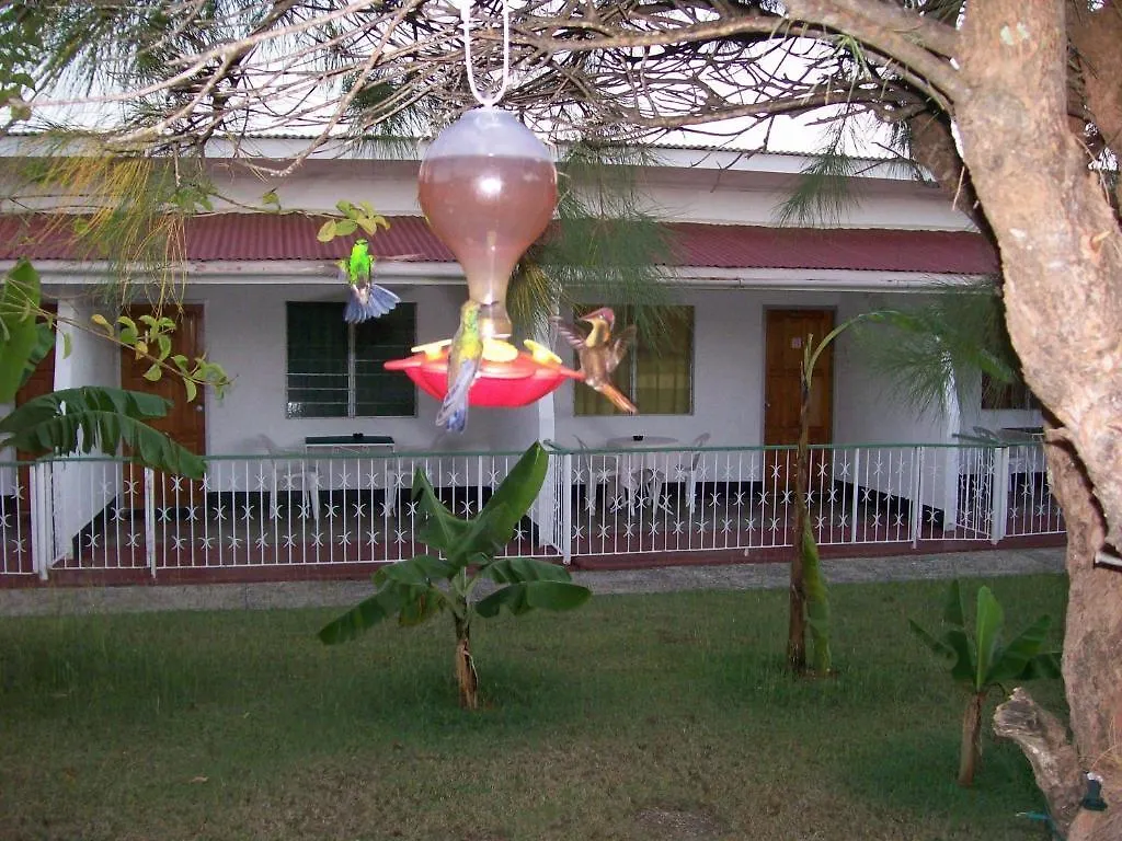Guest house Golden Thistle Hotel Crown Point