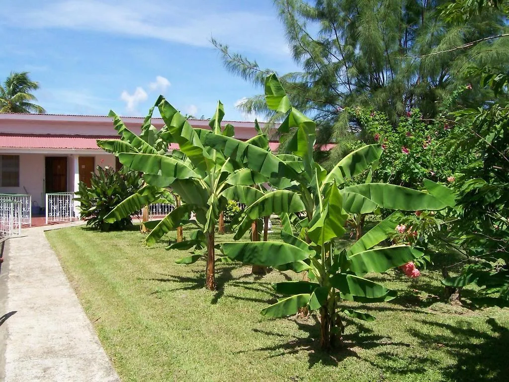 Guest house Golden Thistle Hotel Crown Point